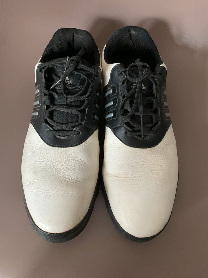 Adidas - Golfschuhe, Leder, weiß, schwarz , Herren Gr. 9US/43EU in Landshut