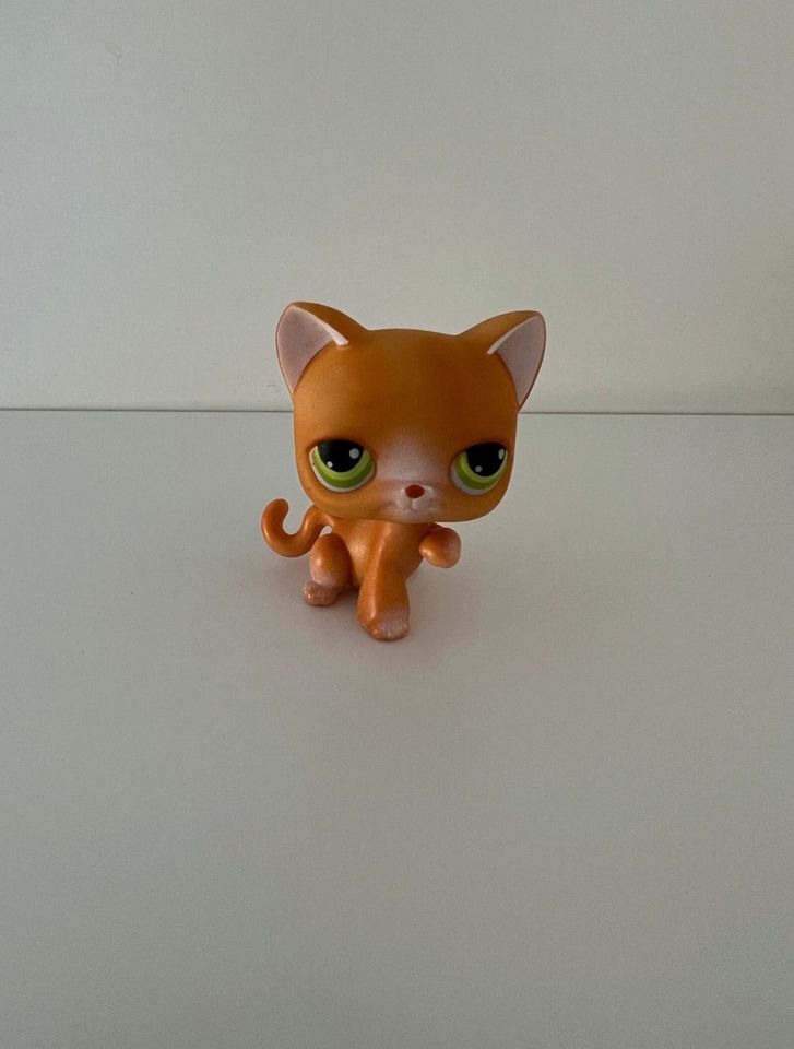 Littlest Pet Shop Katze #11 Spielfigur LPS Sammelfigur in Hanau