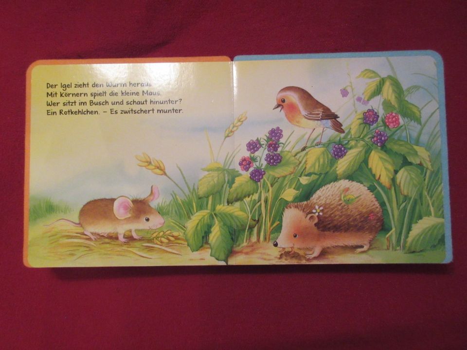 Buch, Babybuch Tiere in Großschönau
