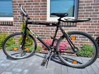 Focus Race Line Mountainbike Shimano 26 Zoll Niedersachsen - Leer (Ostfriesland) Vorschau