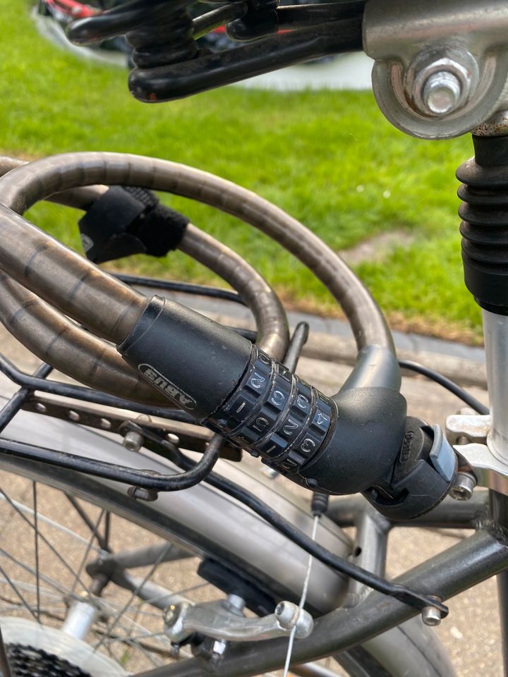 Pegasus Fahrrad in Lehre