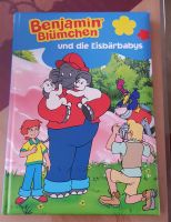 Kinderbuch "Benjamin Blümchen und die Eisbärbabys" Hessen - Griesheim Vorschau