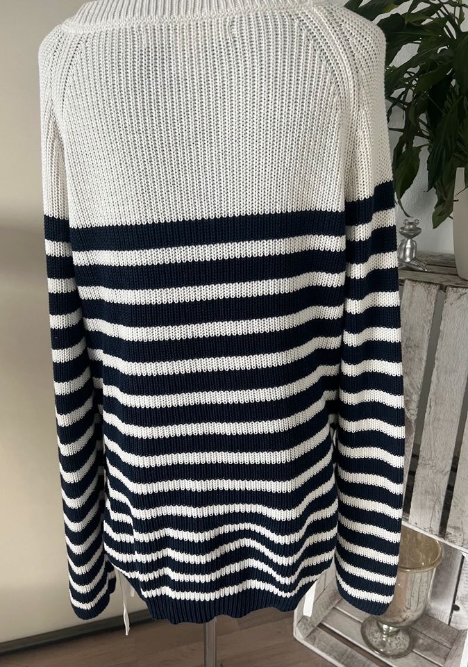 Max Studio Pullover L neu in Detmold