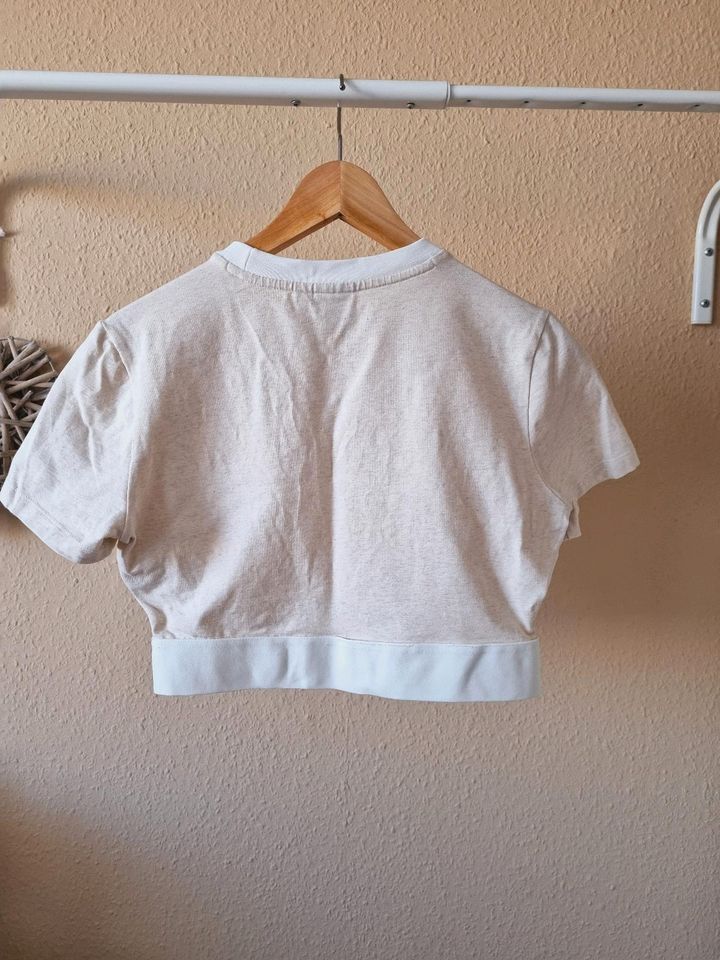 Adidas Crop Shirt Gummibund beige weiß cropped T-Shirt Top Logo in Dresden