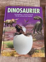 4 Dinosaurier Bücher für Kinder Sachsen-Anhalt - Magdeburg Vorschau