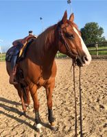 Reitunterricht Westernreiten Dithmarschen - Barlt Vorschau