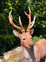 Hirsch Deko Wild Gartenfigur Rheinland-Pfalz - Waldbreitbach Vorschau