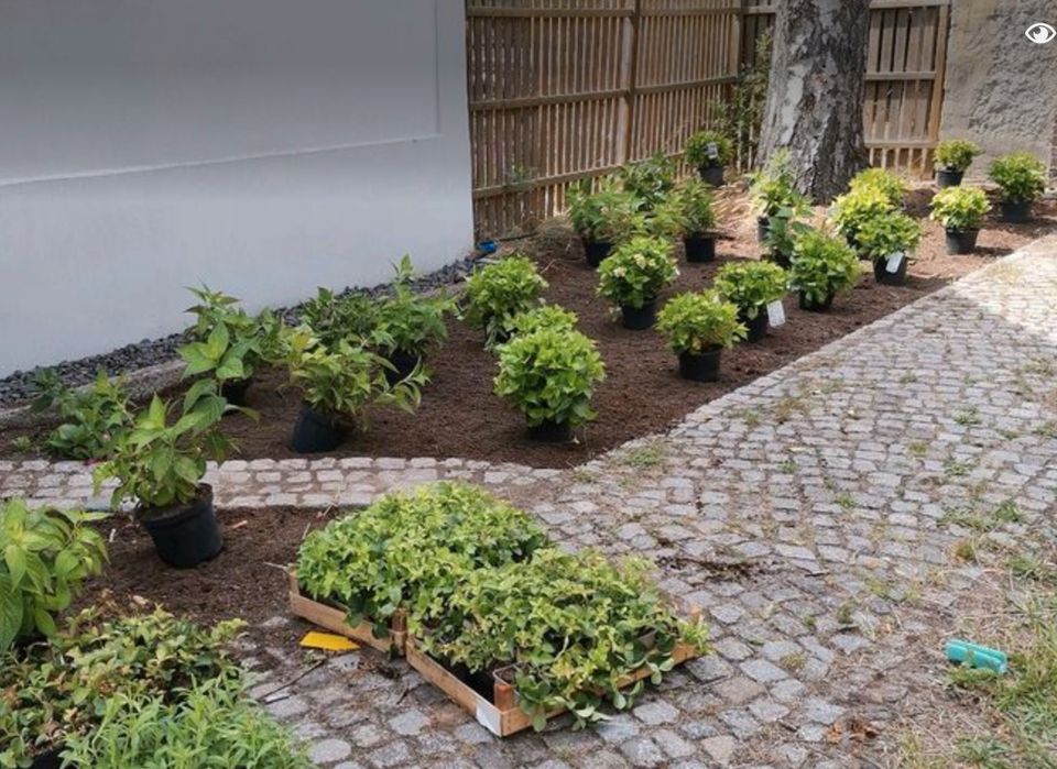 Naturnahe Gartengestaltung, Dachbegrünung, Gartenbau, Baumpflege in Potsdam