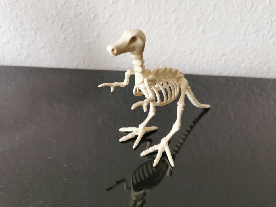 playmobil Dino Skelett von Raptor? T-Rex? aus 4170, vollständig in Merseburg