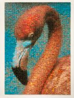 Ravensburger Puzzle Flamingo Photomosaic 500 Kreis Pinneberg - Rellingen Vorschau