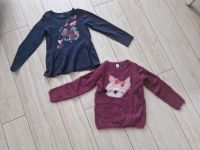 Set Paket Pulli Pullover Langarmshirt Reh Eichhörnchen 128 Sachsen - Niederwürschnitz Vorschau