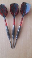 Steeldarts Winmau Majestics Niedersachsen - Bad Pyrmont Vorschau