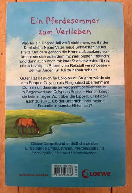 Sommer, Sonne, Stallgeflüster mit 2x Geschichten Verlag Loewe in Gillenfeld