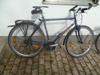 2 STAIGER  EL Paso Gross Trekking Herren Fahrrad Bayern - Steinhöring Vorschau