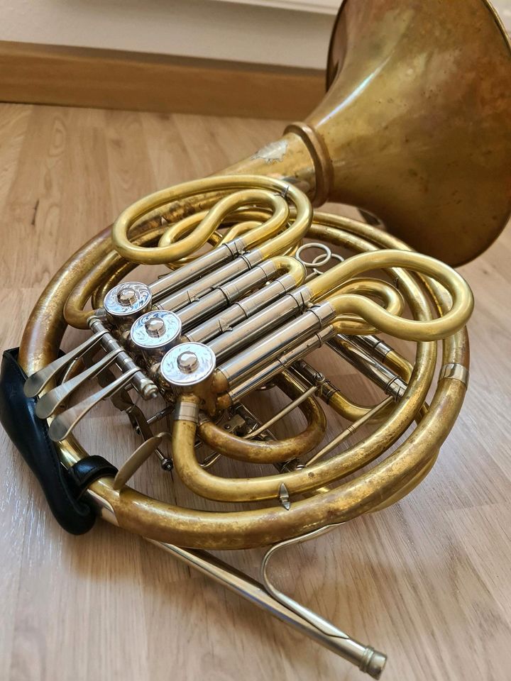 Horn Waldhorn Alexander 403 in Singen