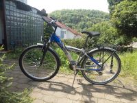 Damen Fahrrad Baden-Württemberg - Aalen Vorschau