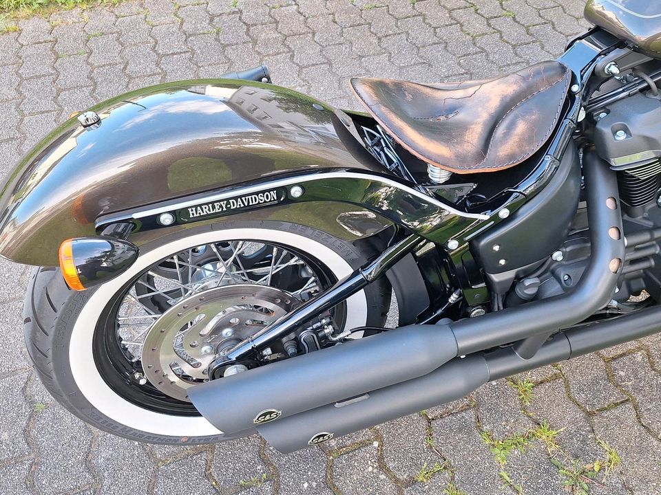 Harley-Davidson Street Bob in Trier