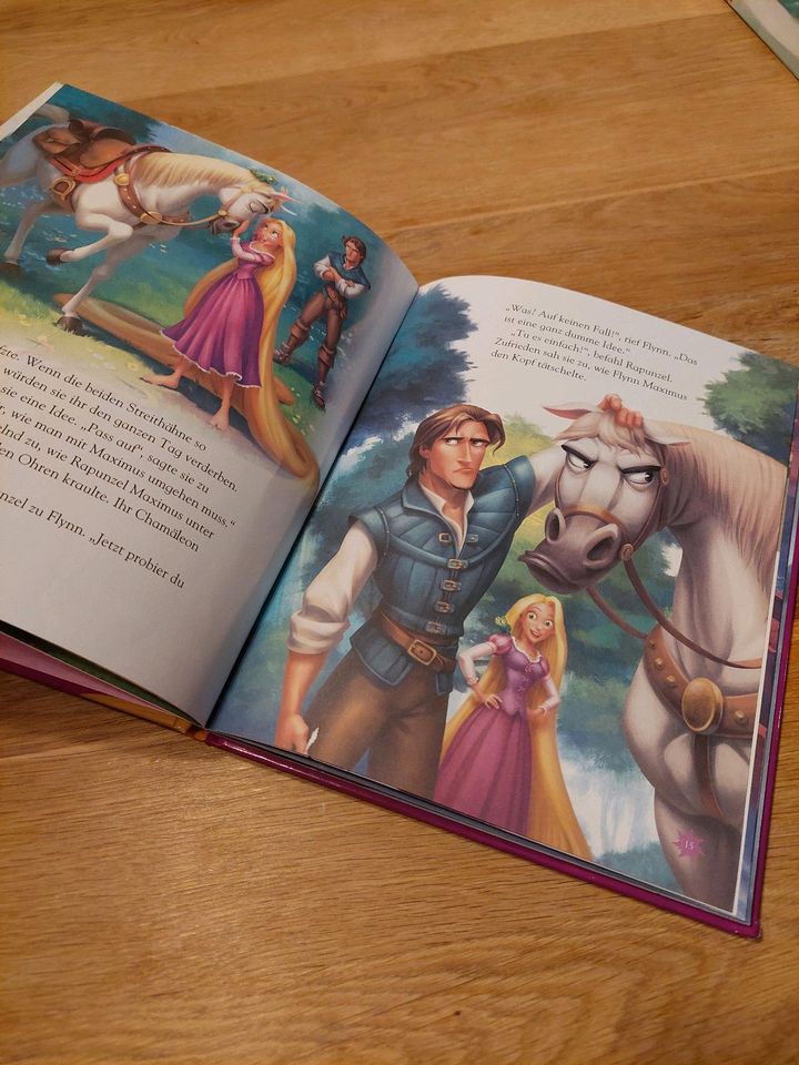 Zwei Helden für Rapunzel Disney Buch in Laufen