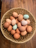 frische Eier von unseren Hühnern zu verkaufen Brandenburg - Heidesee Vorschau