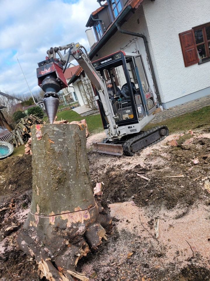 ❗Baumfällung Problembaum fällen Hecke entfernen roden in Bruckberg bei Landshut