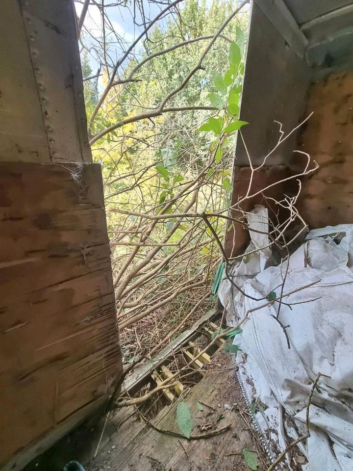 40 Fuß Übersee-Container, Lagercontainer zu verkaufen in Nordwalde