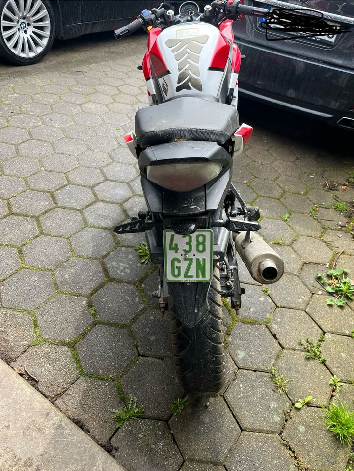 Romet arrow fly 50 mit Honda 125 Motor in Bad Segeberg