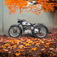 Triumph BDG 250 Kr. Passau - Passau Vorschau