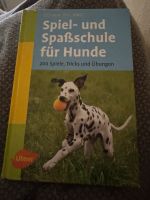 Spiel - und Spaßschule für Hunde Niedersachsen - Apen Vorschau