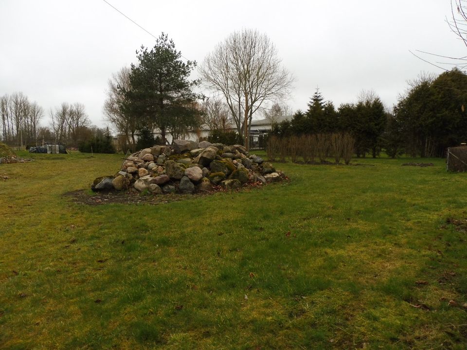 Schönes Baugrundstück in ländlicher Idylle bei Velgast in Velgast