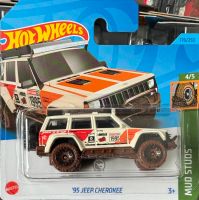 Hot Wheels Treasure Hunt '95 JEEP CHEROKEE Baden-Württemberg - Ulm Vorschau