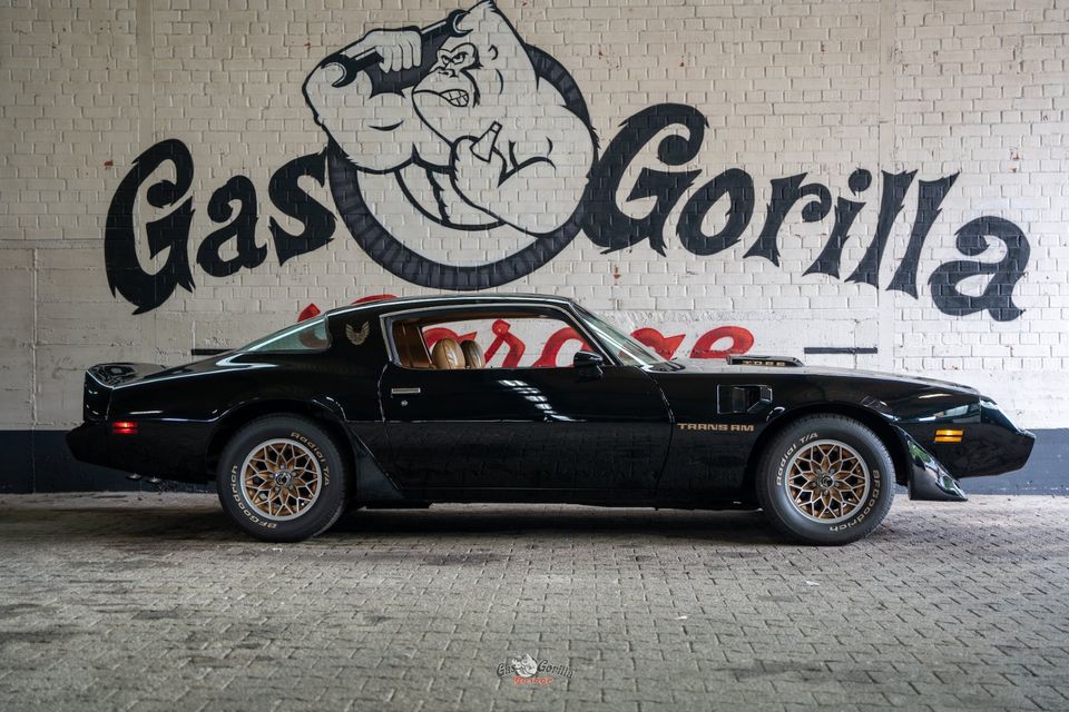 1980 Pontiac Trans AM V8 in Solingen