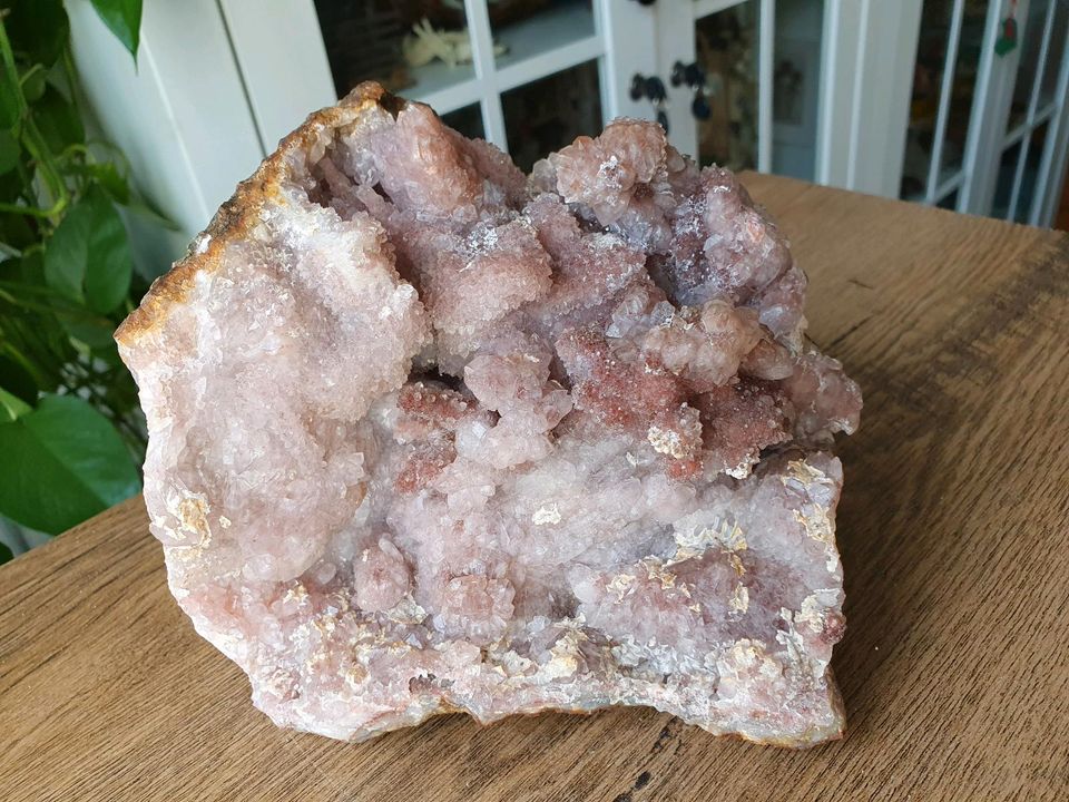 Rosa kaktus Amethyst, Mineralien, Stufe, Spitzen in Solingen