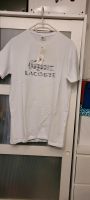 Lacoste t-shirt für Männer XXL Slim fit Nordrhein-Westfalen - Euskirchen Vorschau