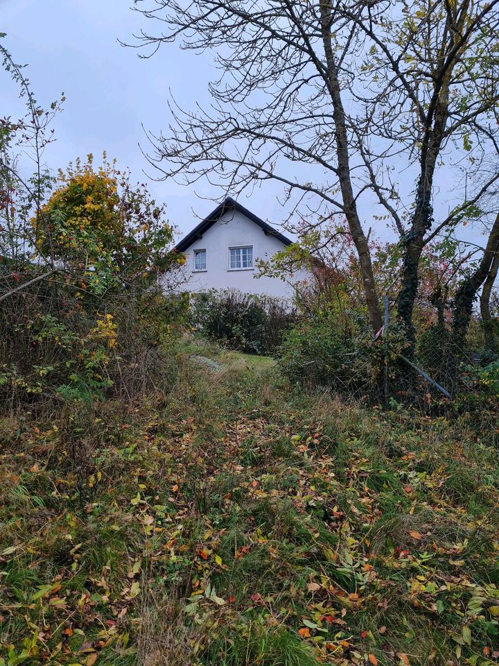 Grundstück Baugrundstück voll erschlossen mit Zufahrstweg in Hatzfeld (Eder)