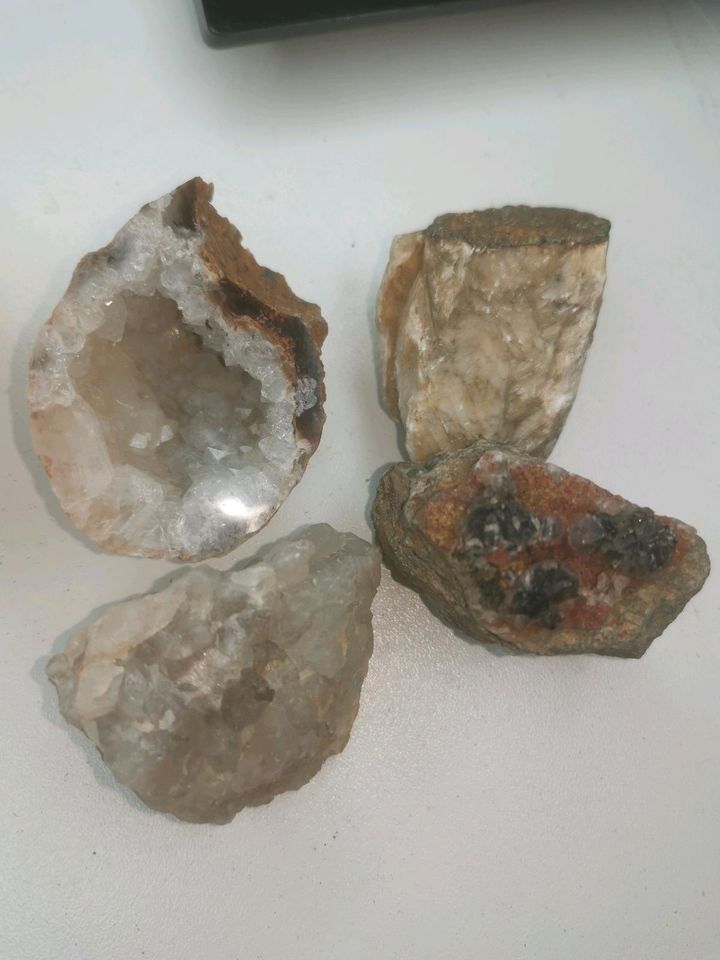 Jedes Bild 5€ TOP Mineralien MineralSteine Heilsteine in Creußen