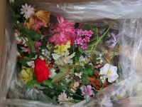 große Kiste mit Seidenblumen-Konvolut, versch. Blüten und Farben Bayern - Landshut Vorschau