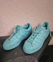 Adidas Superstar Größe 36 1/3 neuwertig Hessen - Neustadt Vorschau