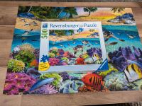 Ravensburger Puzzle 500 Große Teile Rennen der Baby Schildkröten Niedersachsen - Aurich Vorschau