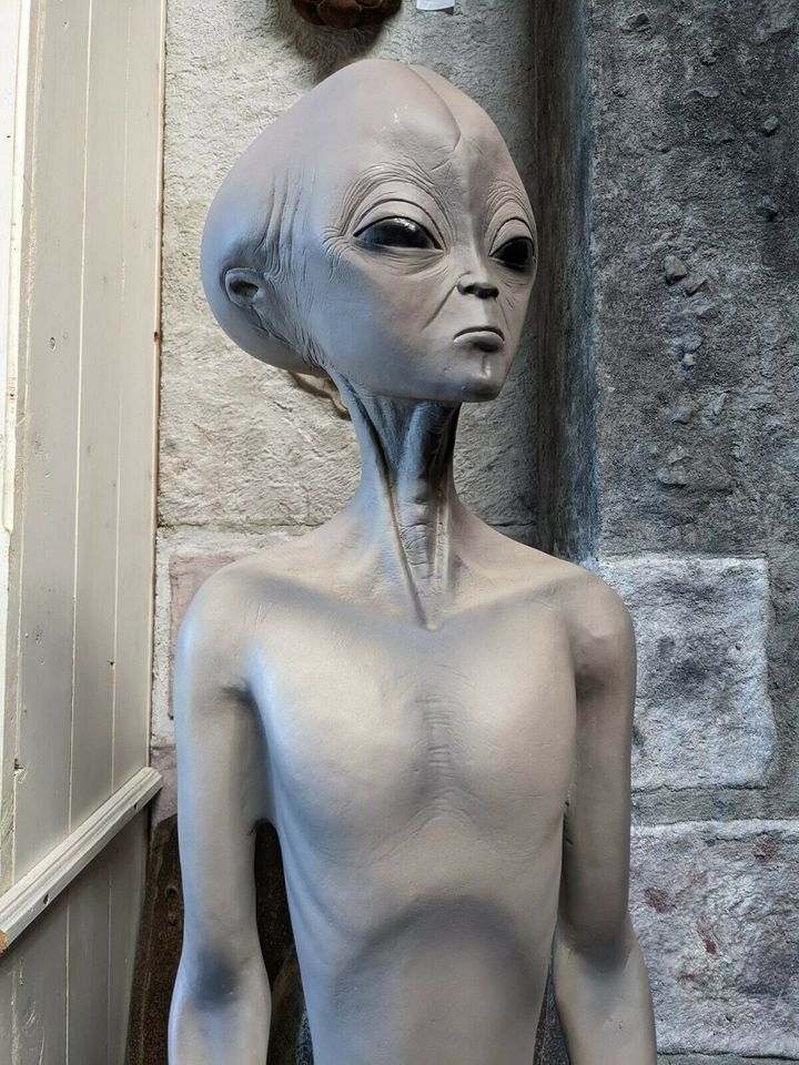 GROSSE ALIEN FIGUR AREA 51 ROSWELL AKTE X PAUL 1,25m HOCH STATUE in Großefehn