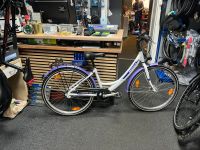 Pegasus, Arcona, Mädchen, Fahrrad 26’Zoll Rh‘38‘cm Friedrichshain-Kreuzberg - Kreuzberg Vorschau