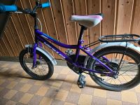 Kinderfahrrad Nakamura Wildcat 16 Zoll Saarland - Neunkirchen Vorschau