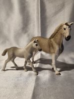 Schleich Pferde Holsteiner Wallach Fohlen 13859 13860 Baden-Württemberg - Filderstadt Vorschau