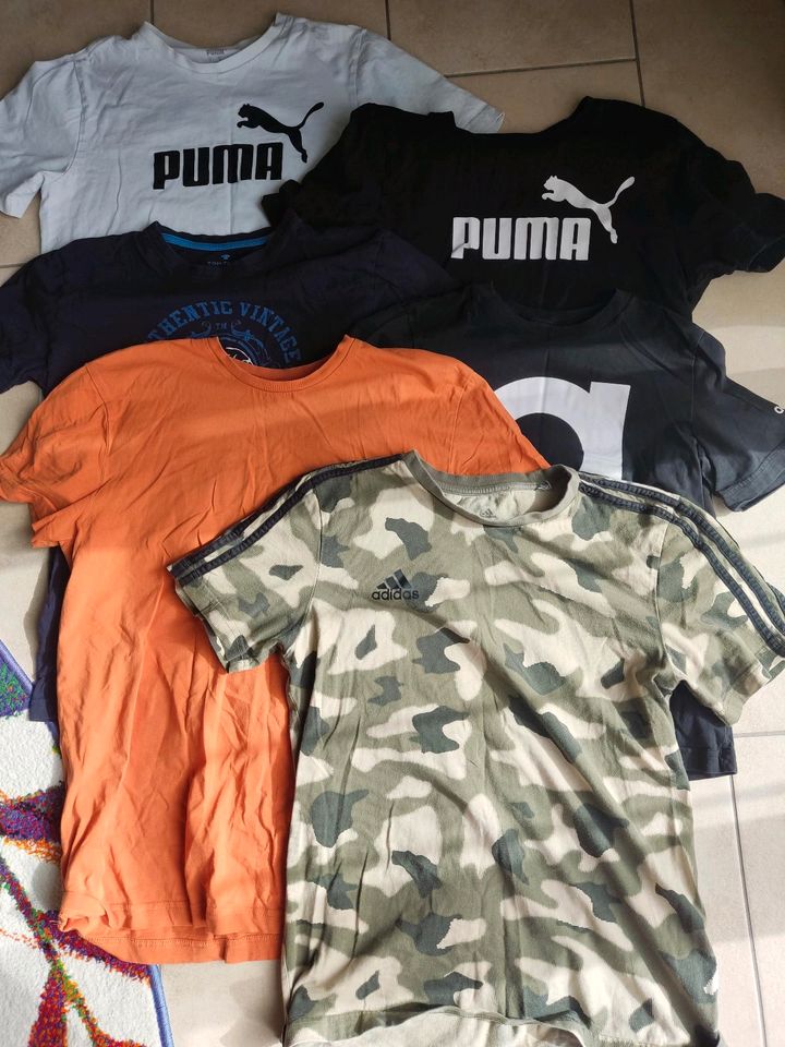 6 T-Shirts Puma Adidas Tom Tailor Größe m/s in Rheinfelden (Baden)