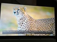 Verkaufe / tausche Smart TV 85 Zoll Sony BRAVIA VH1 , Baden-Württemberg - Göppingen Vorschau