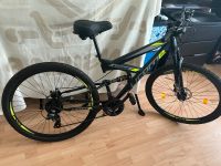 Fahrrad Licorne 29 Zoll Mountainbike Nordrhein-Westfalen - Porta Westfalica Vorschau