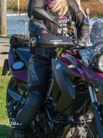 Damen Motorrad Lederkombi Polo Firefox Leder/Textil Gr. 40 Dithmarschen - Marne Vorschau