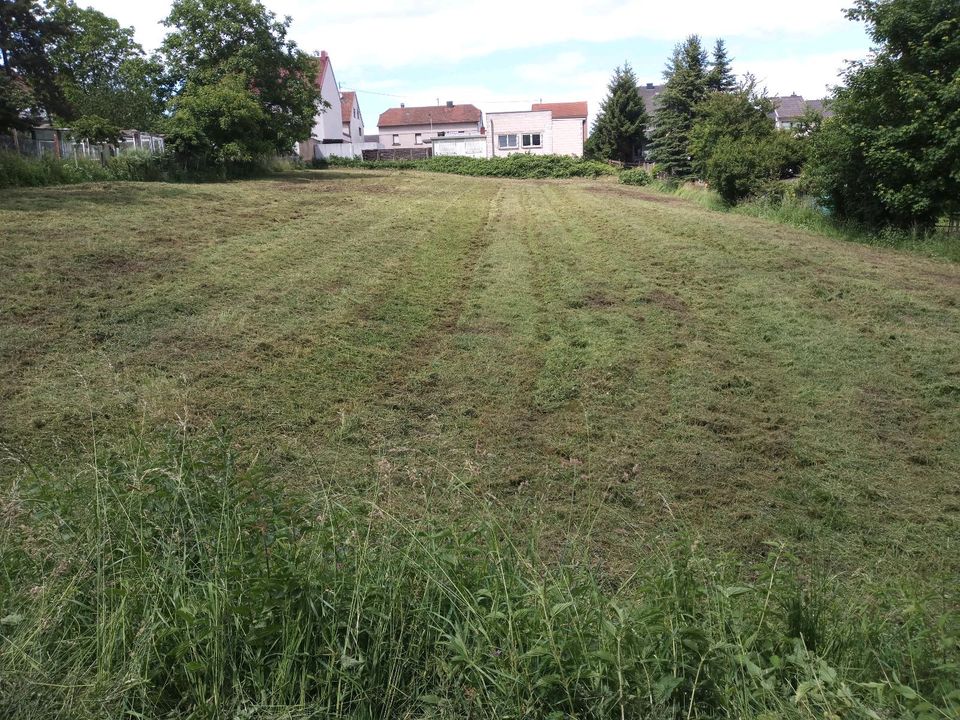 Mulch und Mäharbeiten, Freischneiden und Dienstleistungen in Völklingen