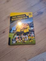 Das große Buch vom BVB Niedersachsen - Salzgitter Vorschau