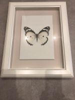 Ikea Bild Schmetterling Bispgarden Schleswig-Holstein - Flensburg Vorschau