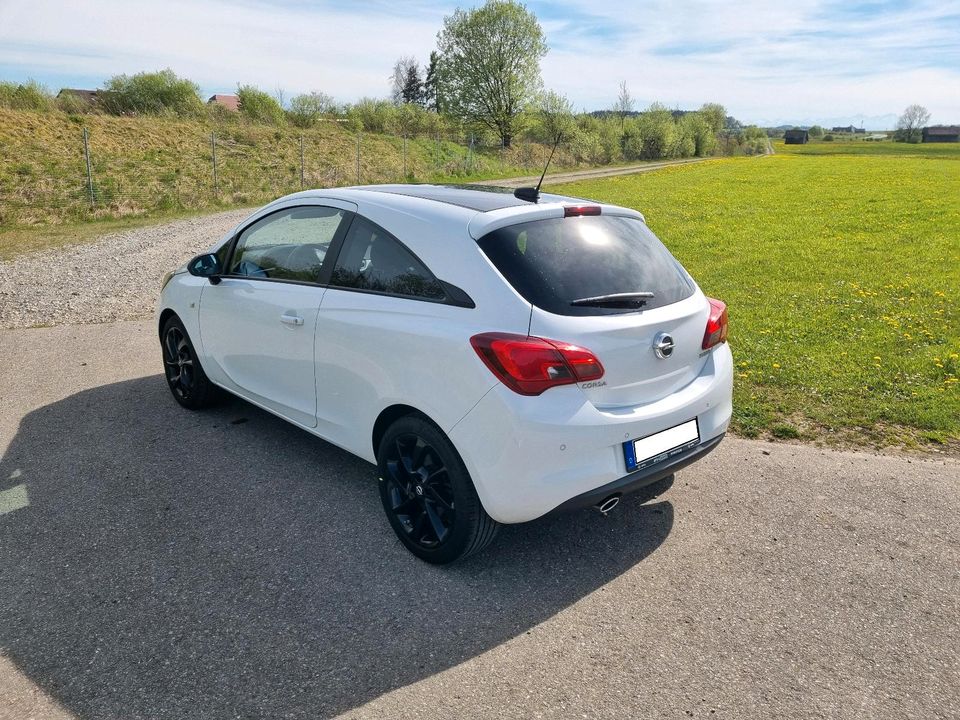 OPEL CORSA E 1.4 TURBO COLOR EDITION in Kißlegg